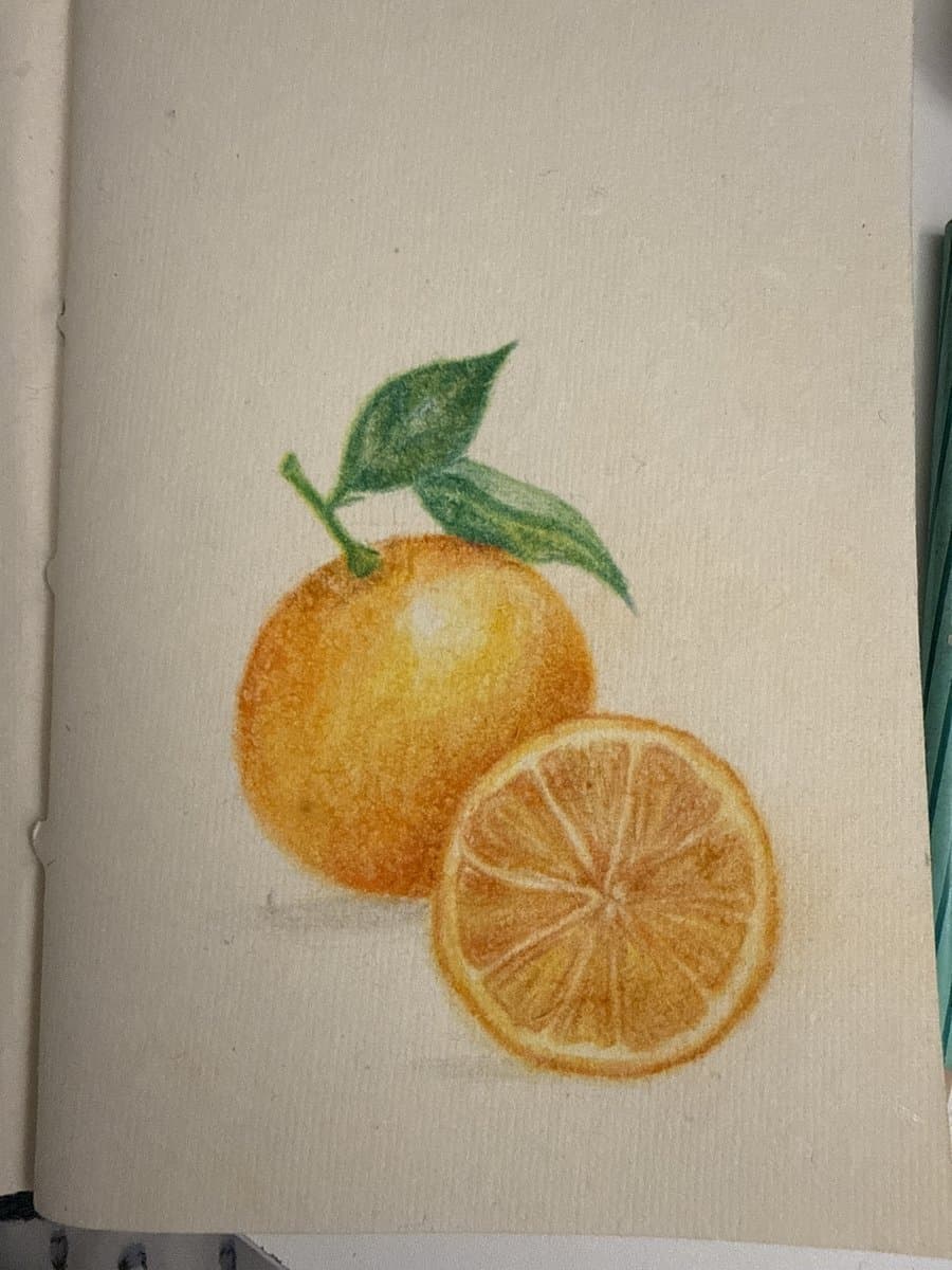 A coloured-pencil drawing of an orange and an orange slice in a sketchbook