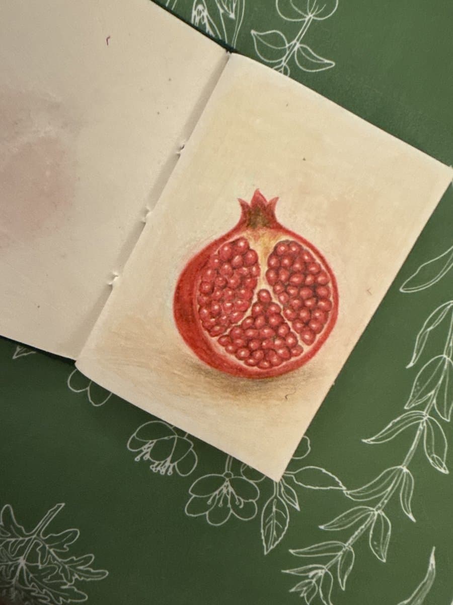 A coloured-pencil drawing of half a pomegranate in a sketchbook