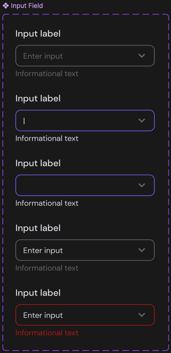 Input field components in their default, focused, filled and error states